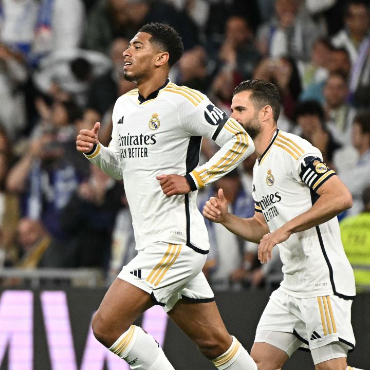 木棒根部 木棒根部