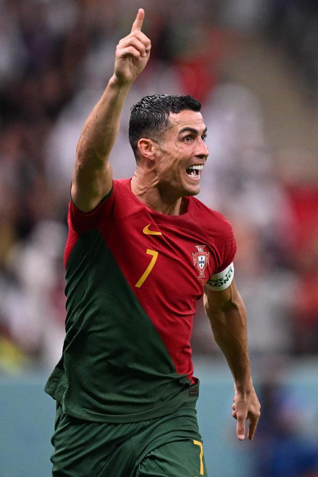 盈利质量的 盈利质量的